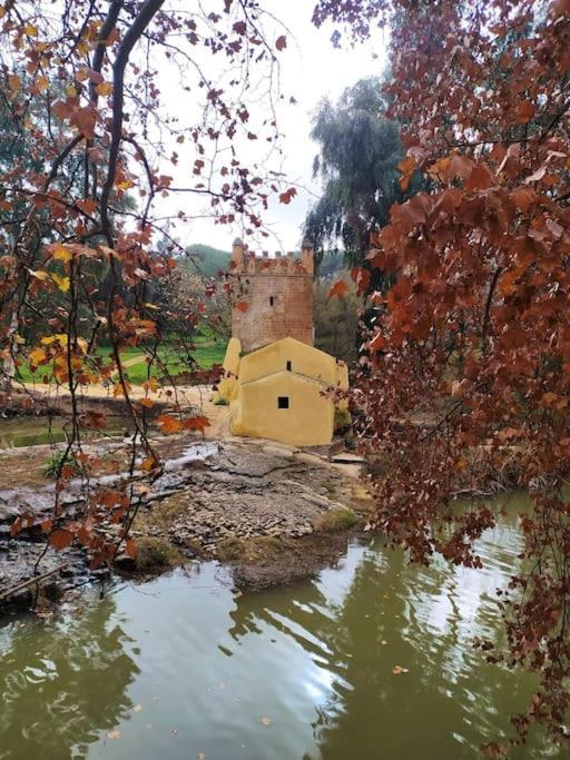 Appartamento Oromana Loft Alcalá de Guadaira Esterno foto